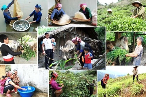 Từ ý Đảng đến lòng dân - Hành trình giảm nghèo toàn diện
