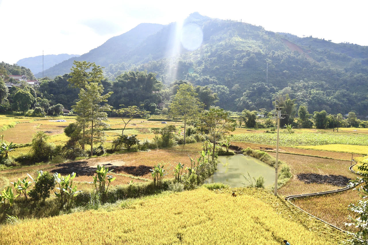 Sản xuất nông nghiệp tại xã đạt kết quả cao. Ảnh: Thanh Tùng