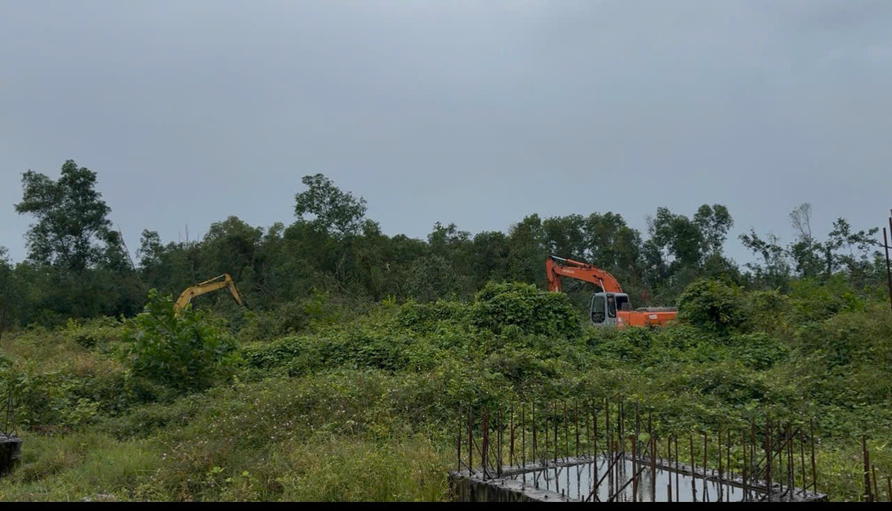 Diện tích đất bị cưỡng chế