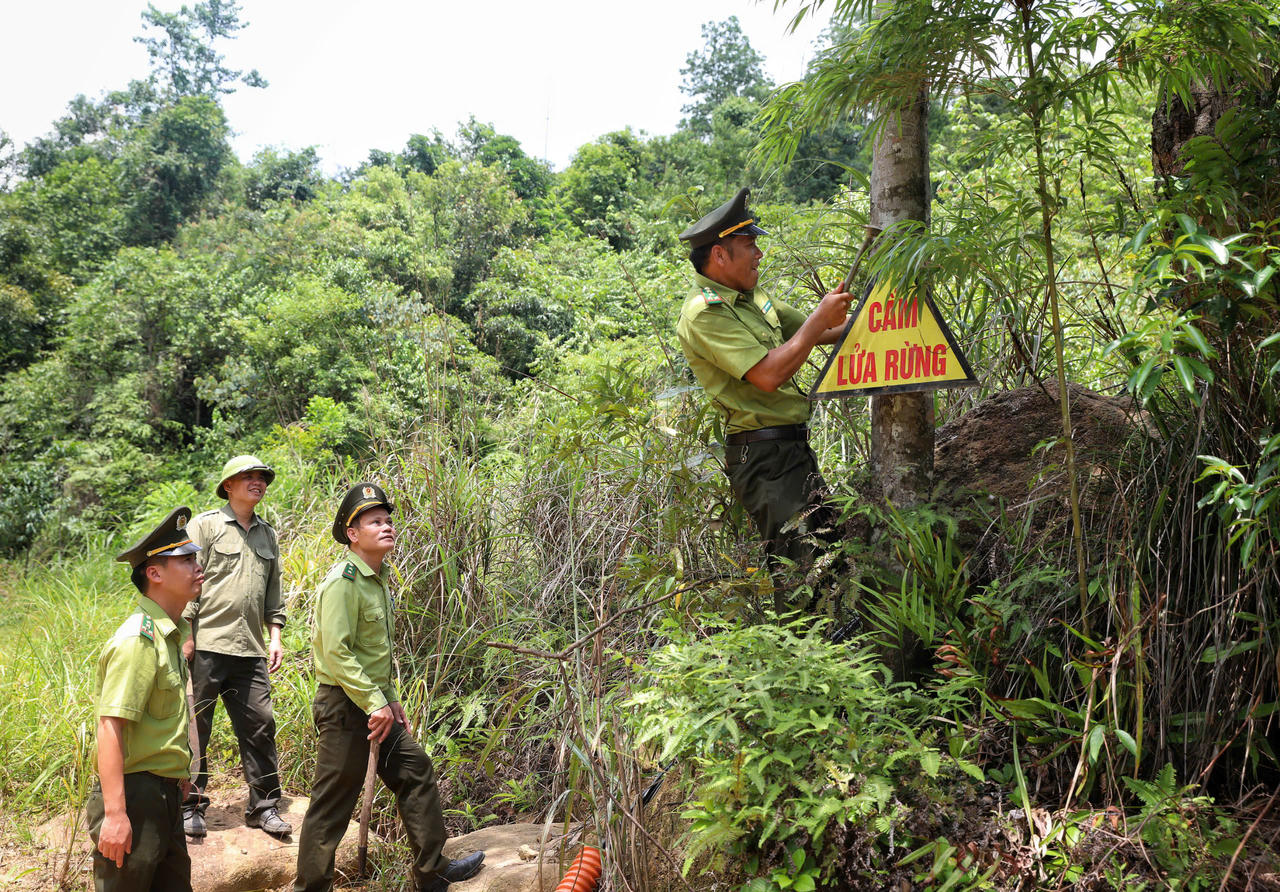 Công tác quản lý và bảo vệ rừng tại Tây Yên Tử đối mặt với không ít khó khăn.