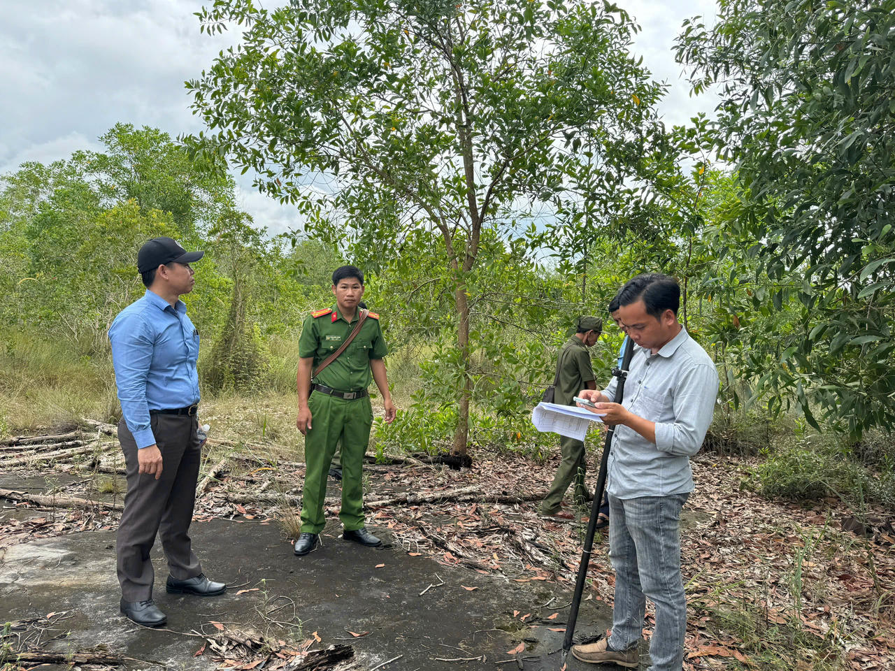 Kiên quyết xử lý các vụ bao chiếm đất rừng phòng hộ tại đặc khu Phú Quốc, tỉnh An Giang