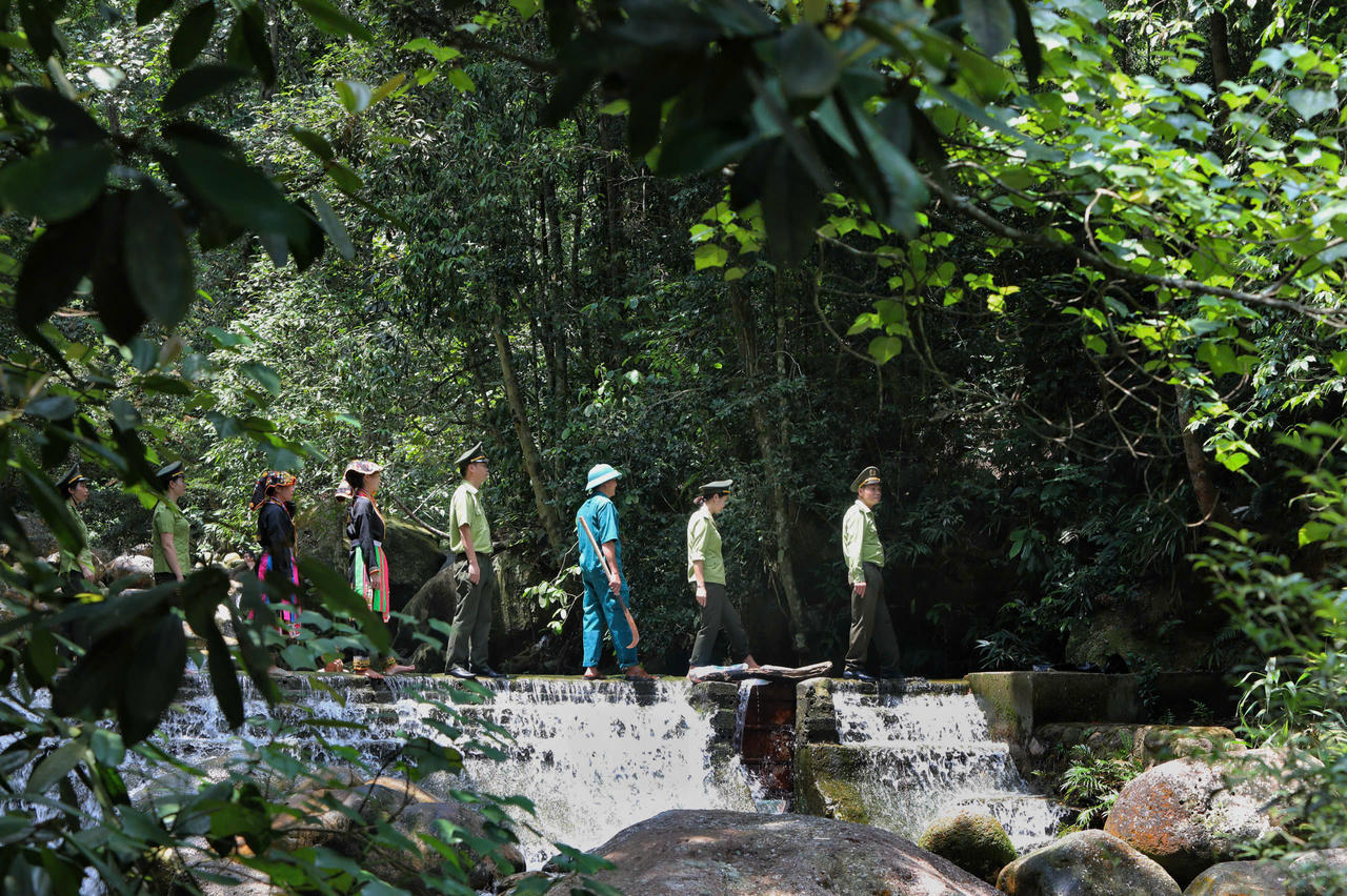 Phong trào bảo vệ rừng đã lan tỏa mạnh mẽ đến từng thôn, bản.