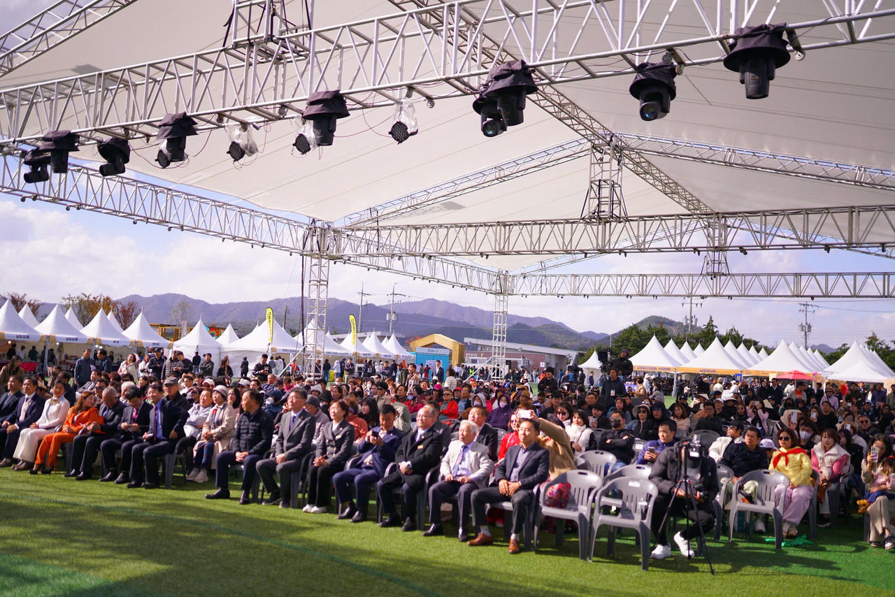 Đại biểu, du khách, nhân dân Hàn Quốc tham dự chương trình.