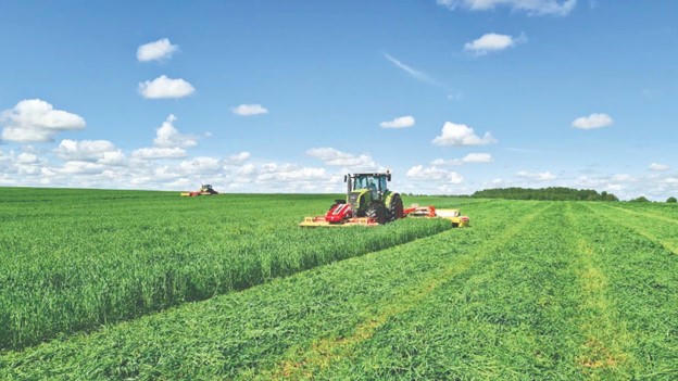 Những cánh đồng nguyên liệu thức ăn cho bò sữa của Tập đoàn TH đã phủ xanh nhiều mảnh đất hoang hóa tại các tỉnh của Nga