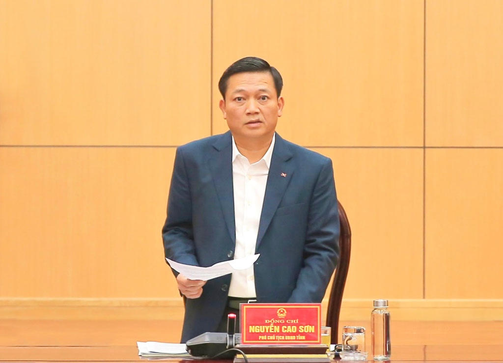 Ông Nguyễn Cao Sơn - Tỉnh ủy viên, Phó Chủ tịch UBND tỉnh Ninh Bình phát biểu tại buổi họp.