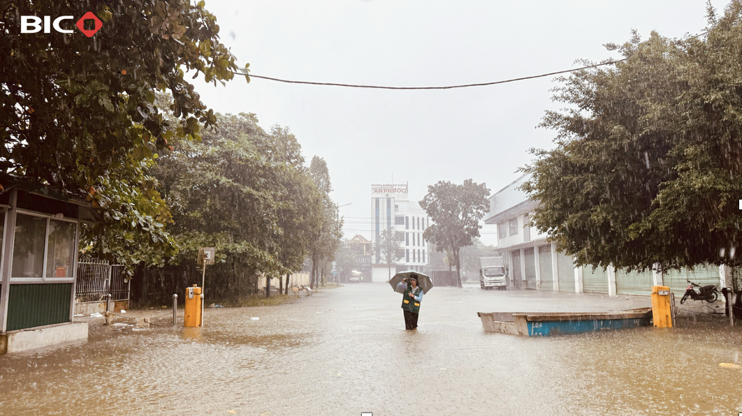 BIC đồng hành cùng khách hàng khắc phục hậu quả mưa lũ miền Trung