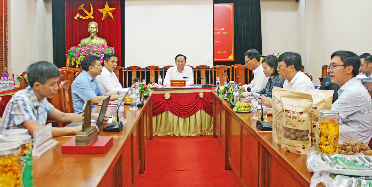 Phó Chủ tịch UBND tỉnh Phạm Văn Thịnh phát biểu tại buổi làm việc.