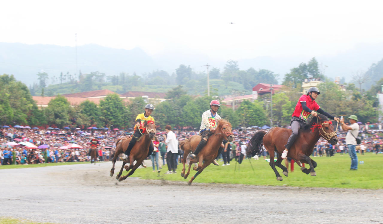Ngày 15/11, chương trình chính thức khai mạc với Giải đua ngựa hàng tuần