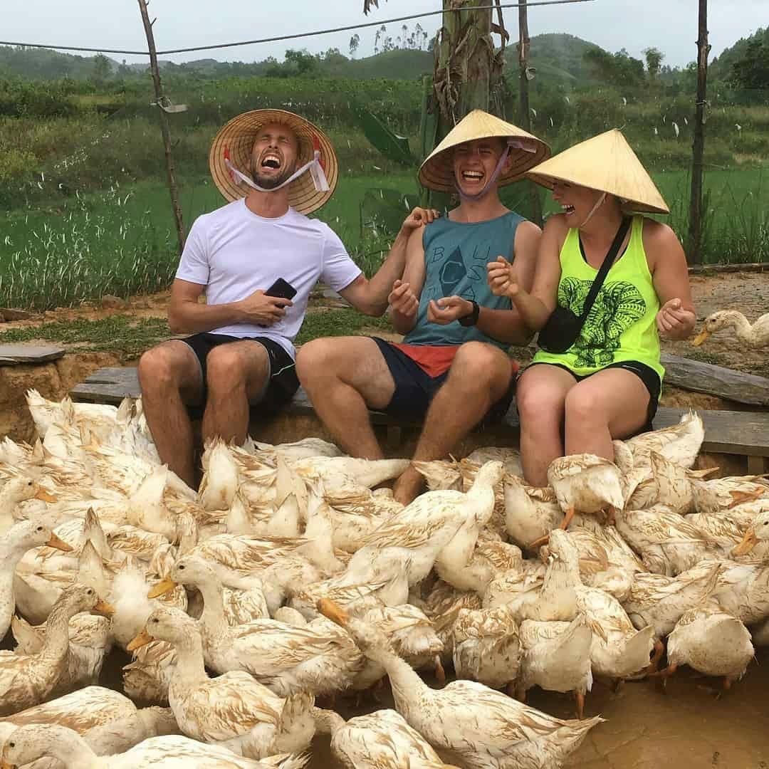 Du khách thích thú khi được đàn vịt vây quanh và mát-xa bằng…mỏ. Ảnh: The Duck Stop