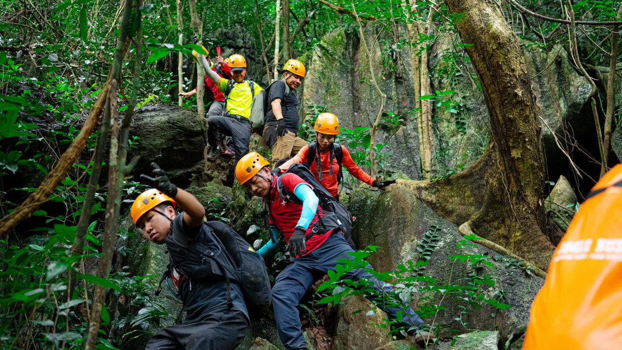 Len lỏi giữa những tán cổ thụ để tận hưởng không khí tươi mát của rừng già Vườn quốc gia là một trong nhiều trải nghiệm đáng nhớ. Ảnh: Jungle Boss Tours