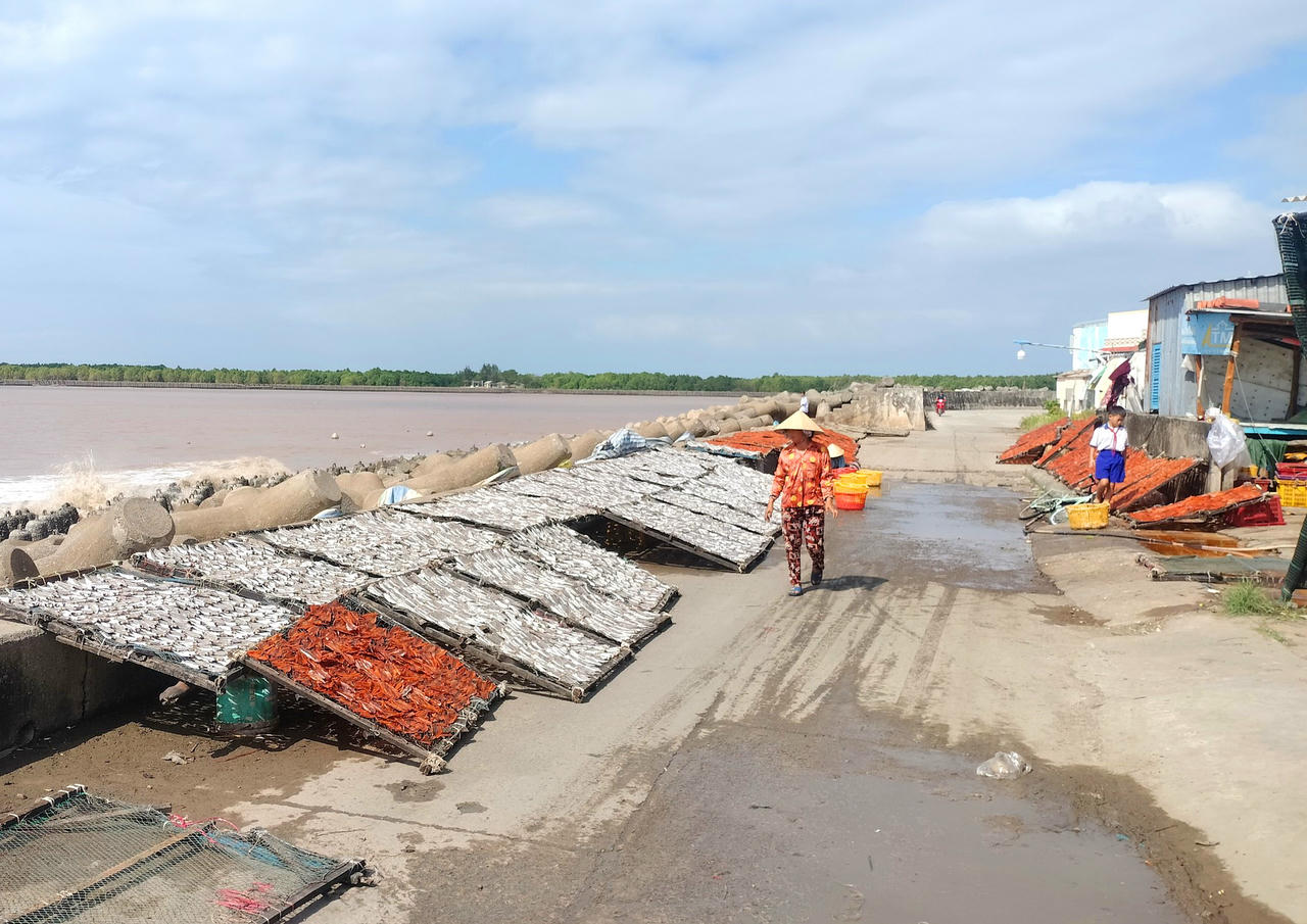 Cần nhiều chính sách hỗ trợ sinh kế để người dân ven biển Cà Mau phát triển bền vững.