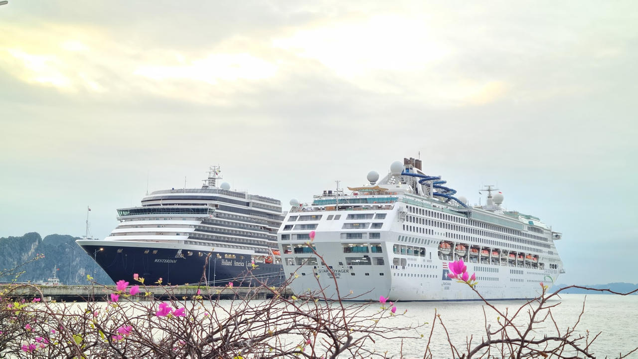 Hơn 3.100 du khách quốc tế cập cảng Hạ Long.