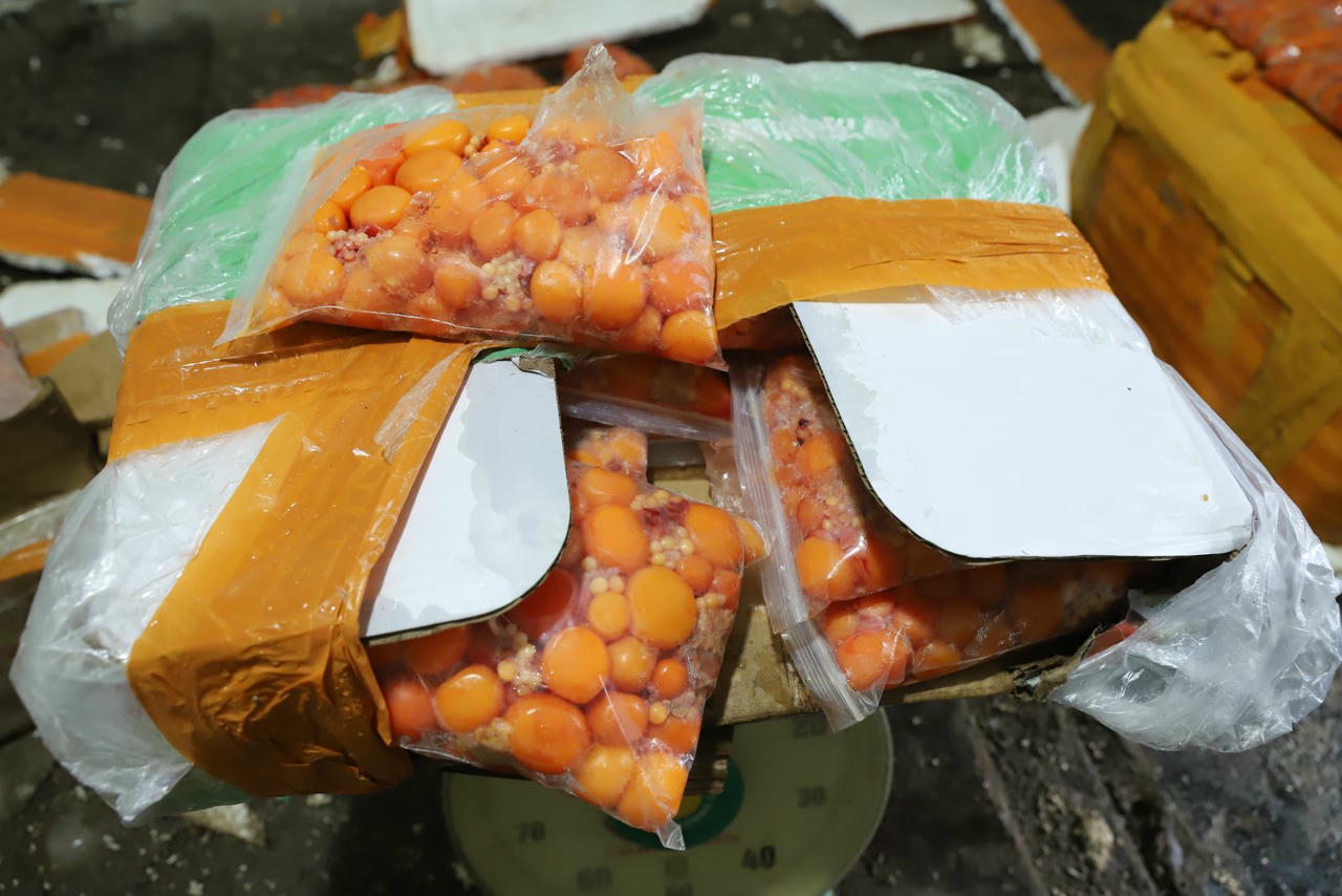 Phát hiện gần 2 tấn thực phẩm đông lạnh không nguồn gốc, xuất xứ