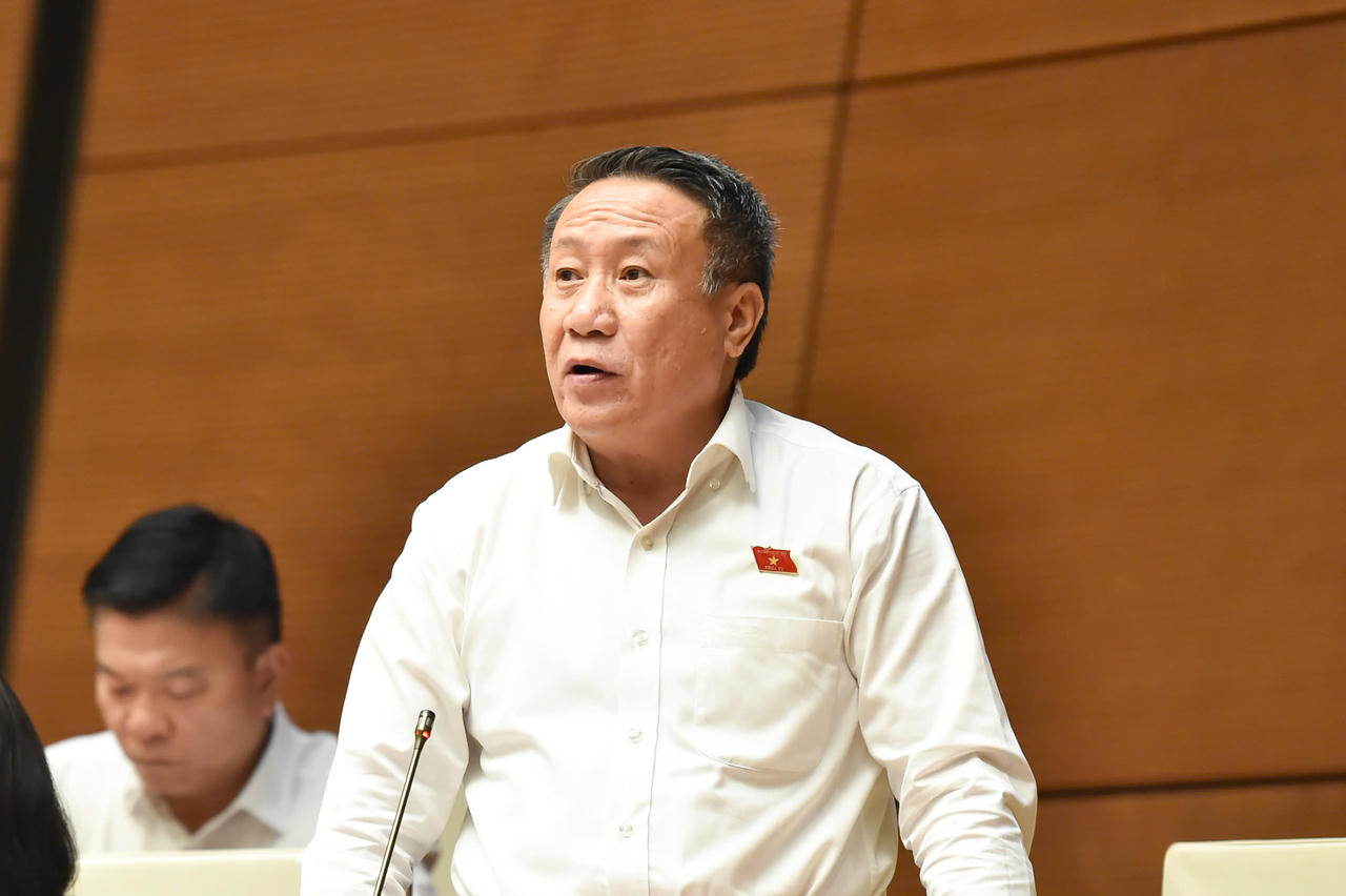 Đại biểu Hà Sỹ Đồng.