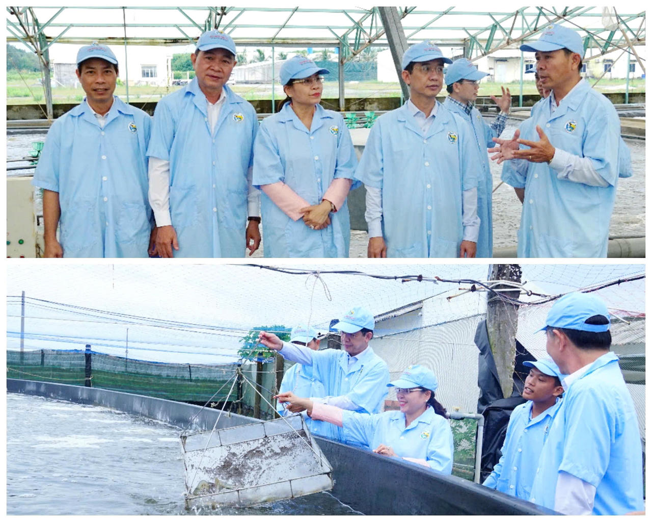 Đoàn công tác tham quan trại sản xuất tôm của Công ty Cổ phần Việt Úc Nhà Mát.