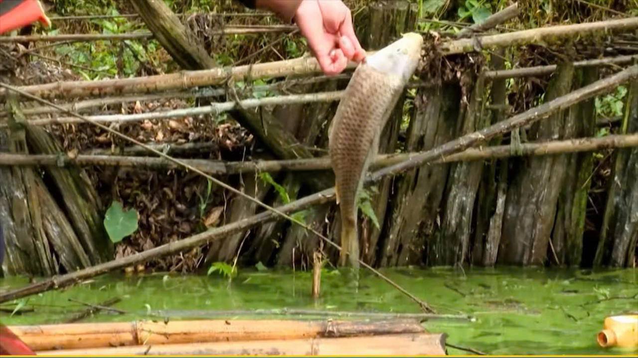 Tình trạng ô nhiễm nước hiện nay đang làm mất đi vẻ trong xanh vốn có, tiềm ẩn nguy cơ ảnh hưởng đến nguồn nước sinh hoạt và phát triển du lịch bền vững tại địa phương.. 