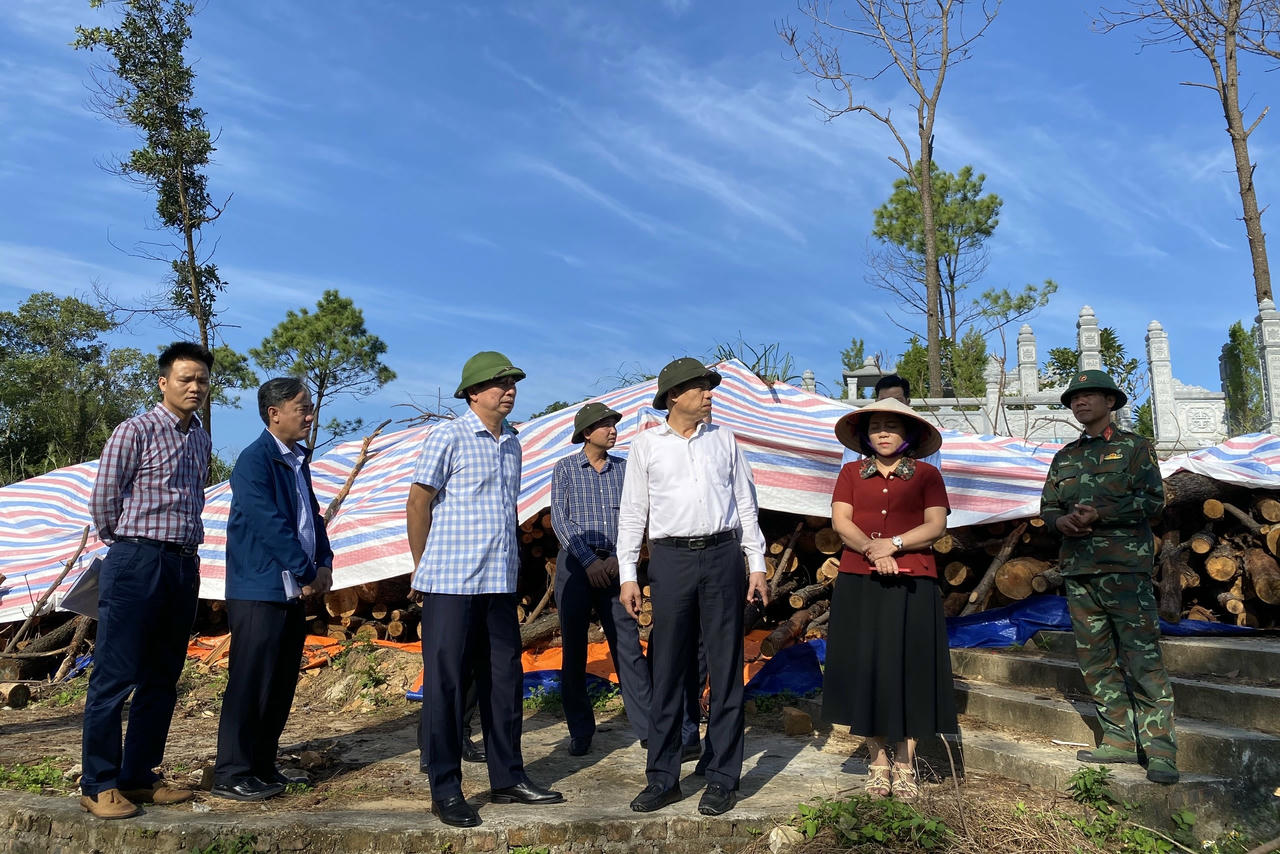 Đoàn công tác của Sở Nông nghiệp và Môi trường cùng lãnh đạo phường Đồ Sơn kiểm tra khu vực điểm cao 46.