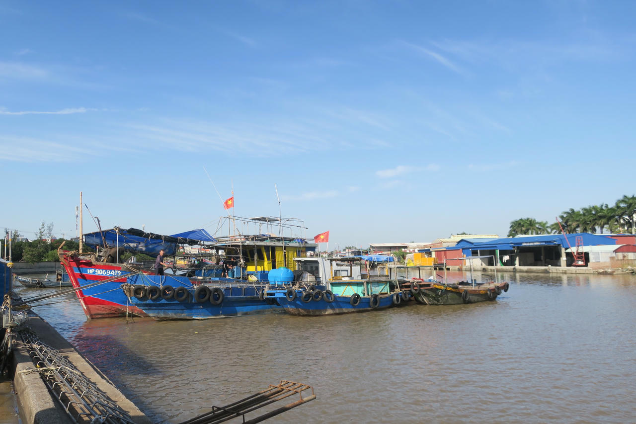 Hải Phòng: Tăng tốc chống khai thác IUU, khắc phục khó khăn tại Cảng cá Ngọc Hải