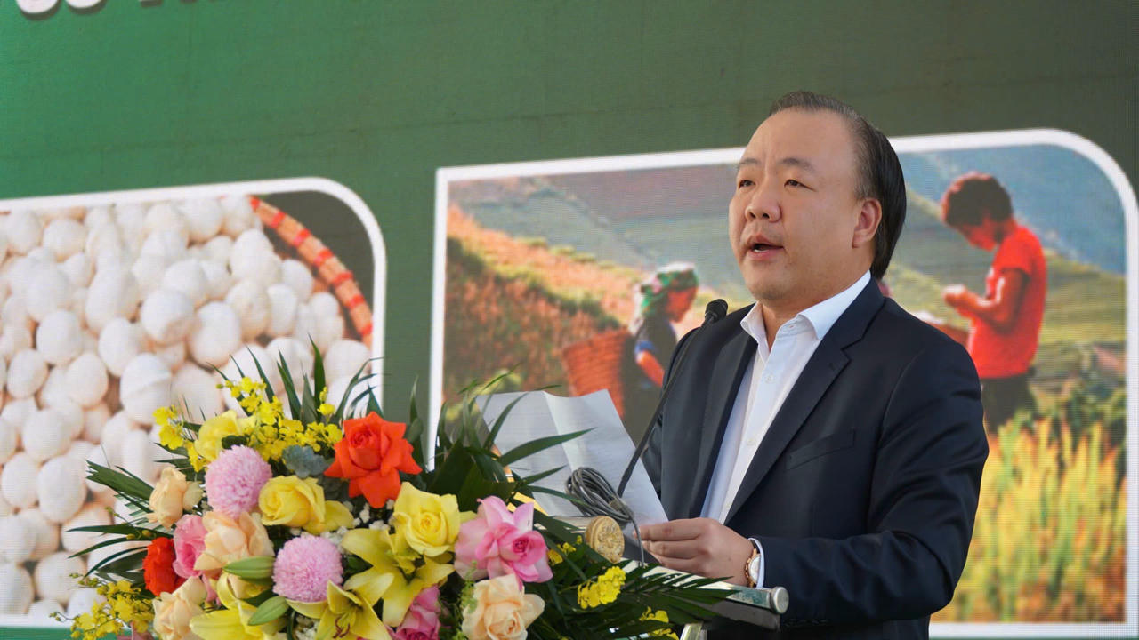 Ông Trần Hữu Linh phát biểu tại ngày hội.