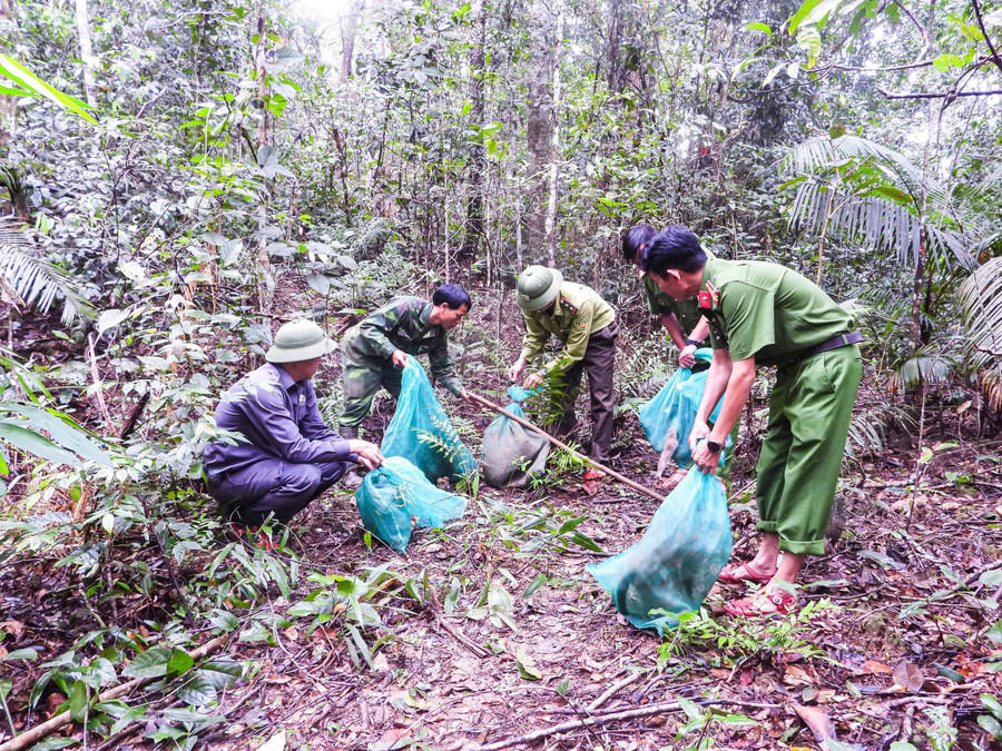 Lực lượng chức năng thả các cá thể động vật rừng sau cứu hộ về môi trường tự nhiên. Ảnh: Vườn Quốc gia Kon Ka Kinh- Nguồn: Báo Gia Lai.