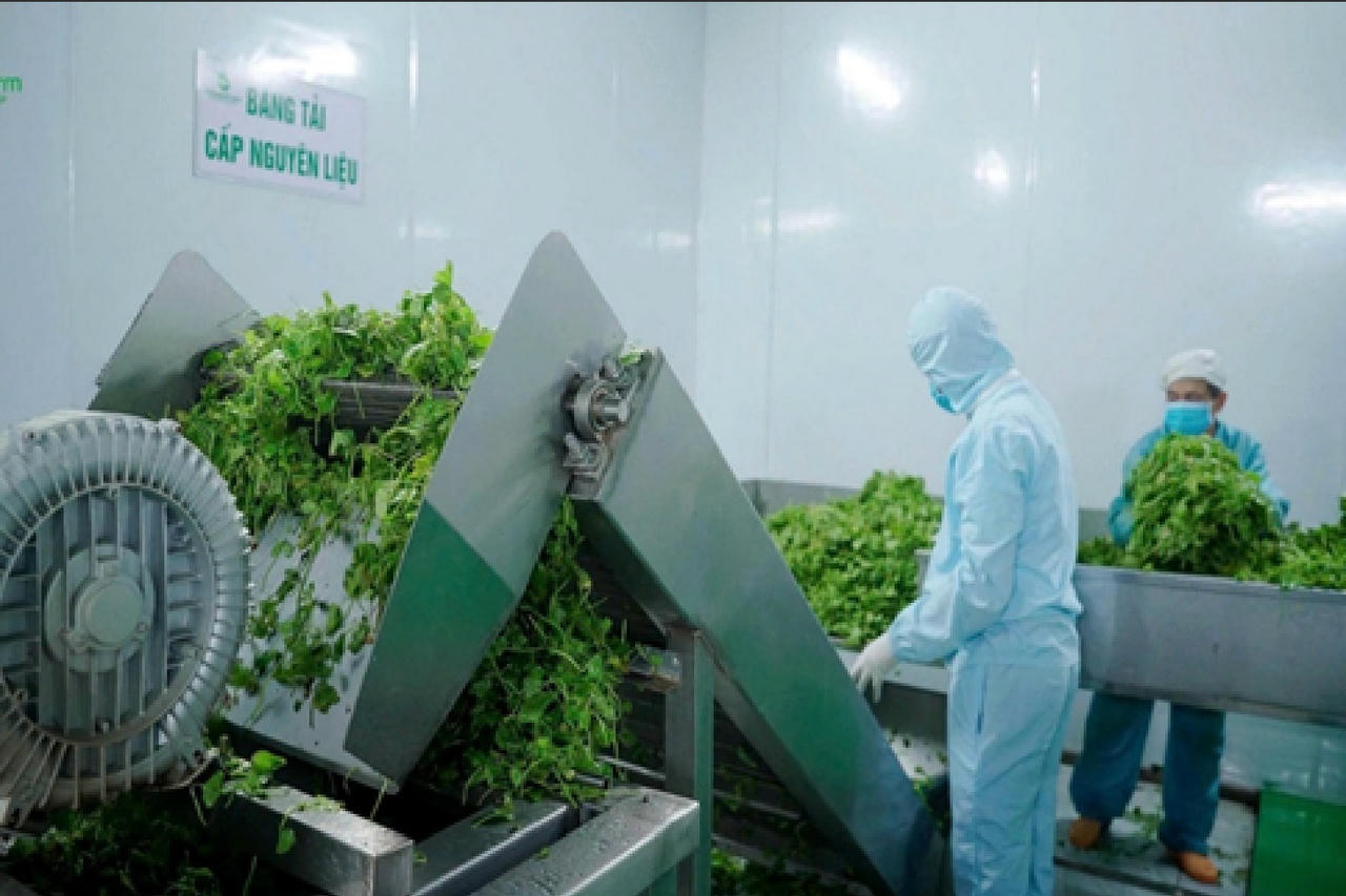 Nông sản sạch: Từ trang trại đến bàn ăn - 
Bài 2: Xây dựng chuỗi liên kết bền vững, khẳng định uy tín, thương hiệu nông sản Việt