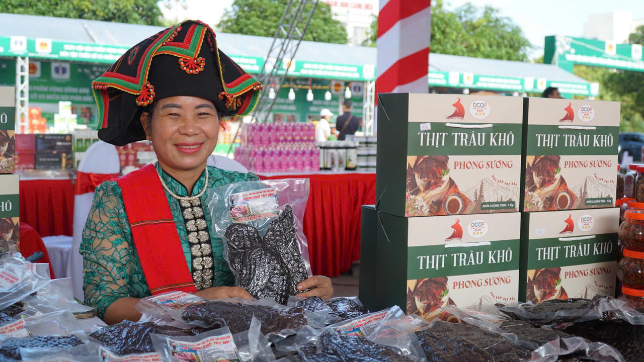 Khai mạc Ngày hội sản phẩm vùng đồng bào dân tộc thiểu số và miền núi phía Bắc