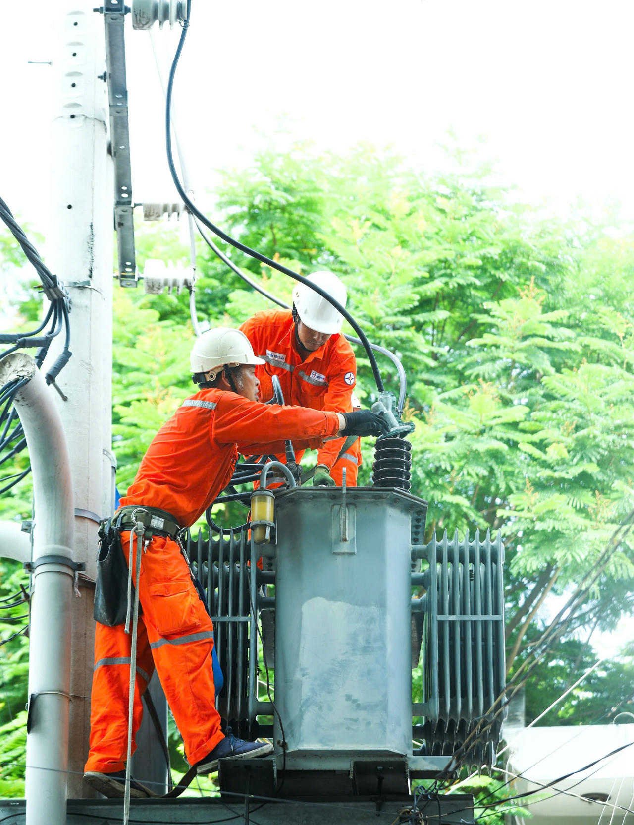 CBCNV EVNSPC tăng cường kiểm tra, khắc phục các khiếm khuyêt trên lưới điện trước mùa mưa bão