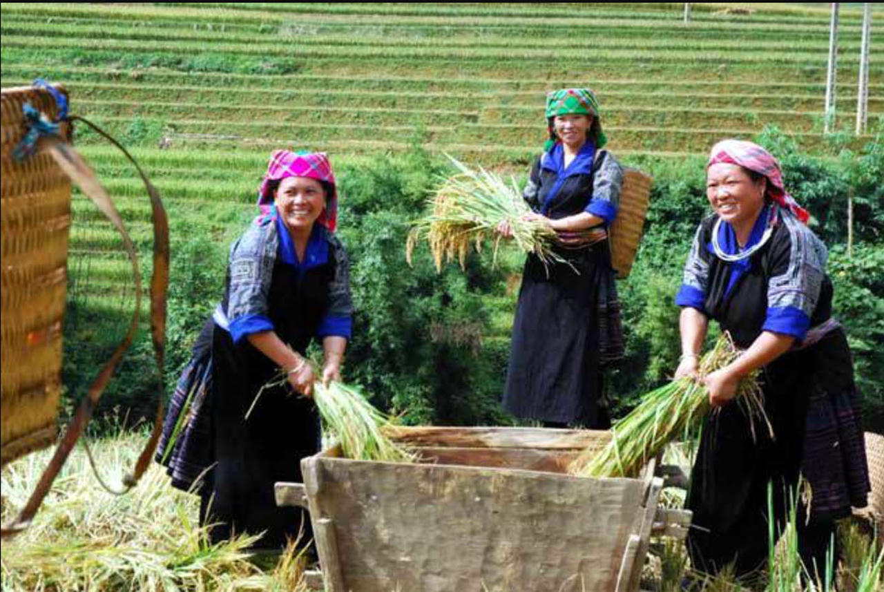 Công tác giảm nghèo trước thách thức biến đổi khí hậu