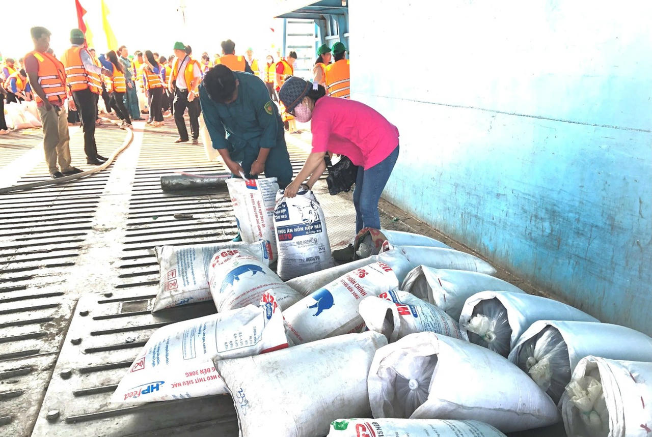 Các bao cá giống chuẩn bị sẽ được thả xuống dòng sông Hậu