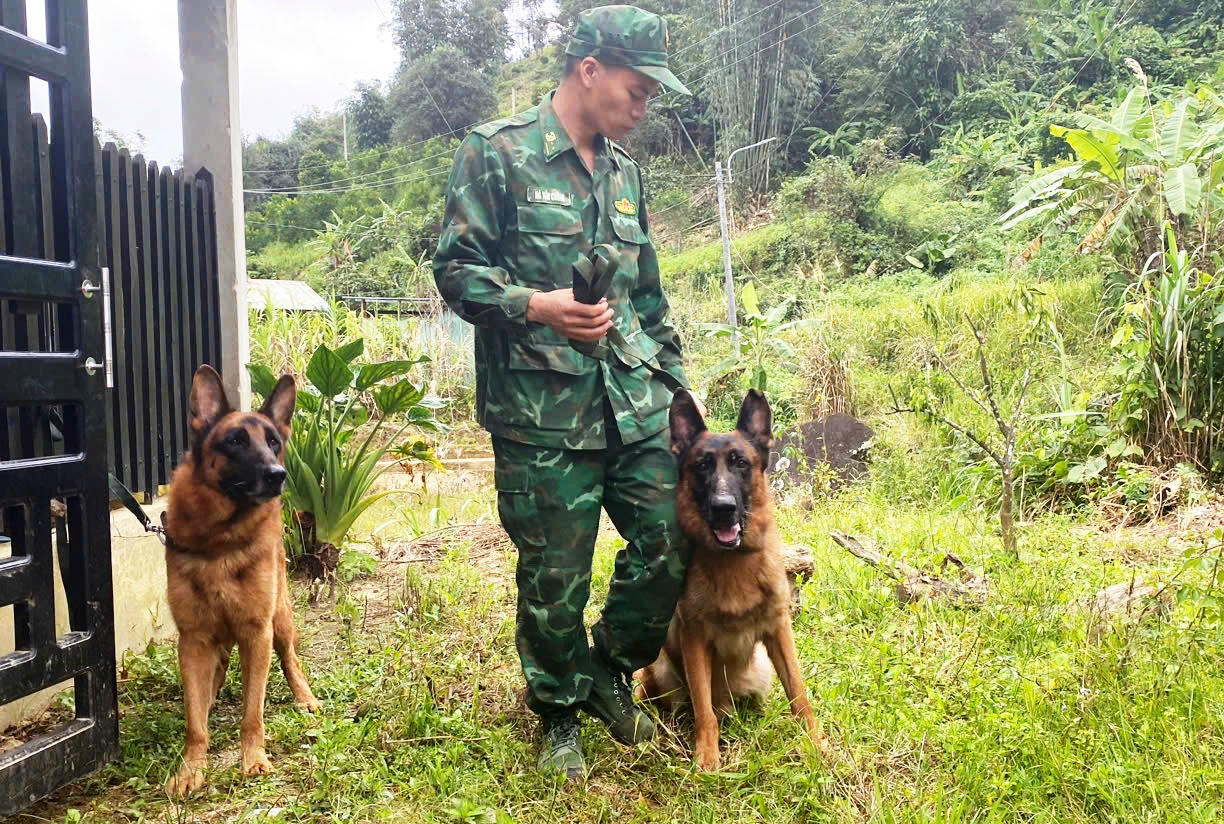 Đưa chó nghiệp vụ vào hiện trường hỗ trợ tìm kiếm người mất tích.