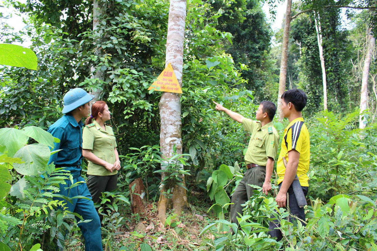 Mở hướng thoát nghèo cho người dân thông qua bảo vệ rừng