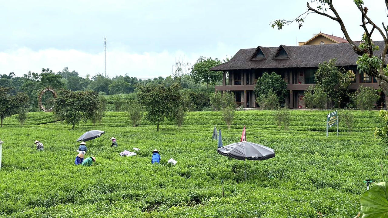 Thái Nguyên: Phấn đấu năm 2025 giảm còn 4,65% hộ nghèo