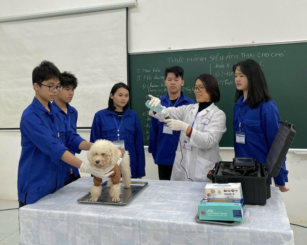 Trường Cao đẳng Lạng Sơn ứng dụng khoa học - công nghệ trong đào tạo nghề chăn nuôi gia súc - gia cầm. (Ảnh: Lê Hanh)