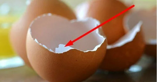 Sử dụng sản phẩm thảo dược chứa màng vỏ trứng sẽ giúp giảm nguy cơ thoái hóa khớp