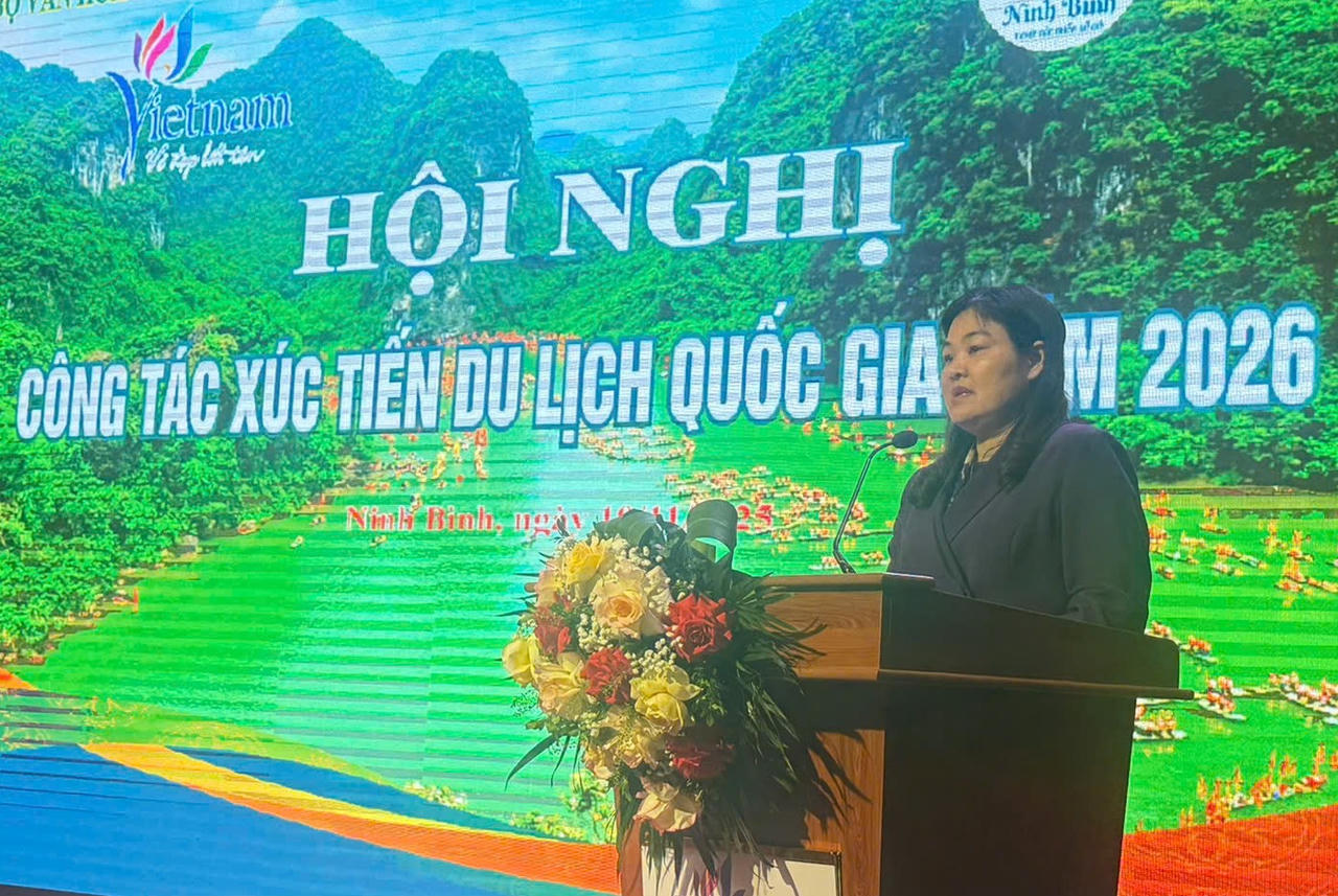 Bà Hà Lan Anh, Tỉnh ủy viên, Phó Chủ tịch UBND tỉnh Ninh Bình phát biểu tại hội nghị.