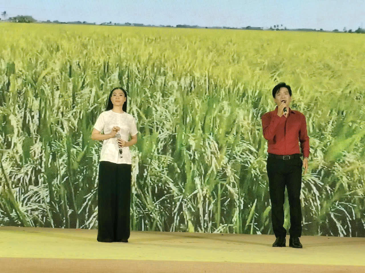 Tân cổ giao duyên “Tình thắm duyên quê” do nghệ sĩ Vĩnh Sơn và nghệ sĩ Hồng Thêm trình bày.