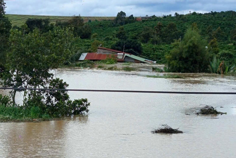 Nhiều hộ dân ở xã Ninh Gia, phía hạ du thủy điện Đại Ninh đang bị ngập sâu.