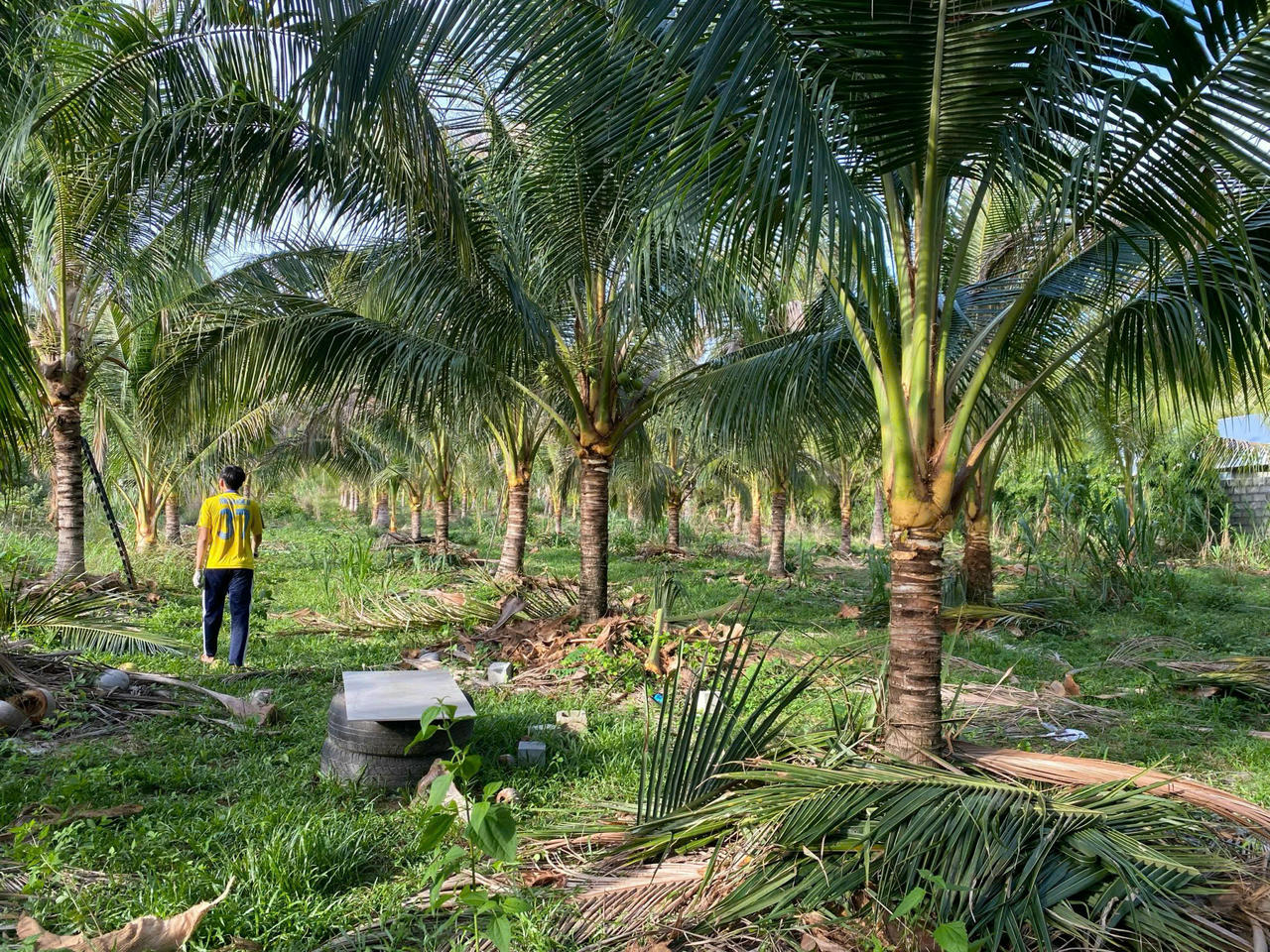 Phú Quốc: Vụ án dân sự kéo dài hơn 4 năm, đương sự “mắc kẹt” trong tố tụng?