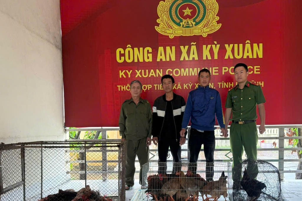 Nhậu xong rủ nhau đi trộm gà của người dân