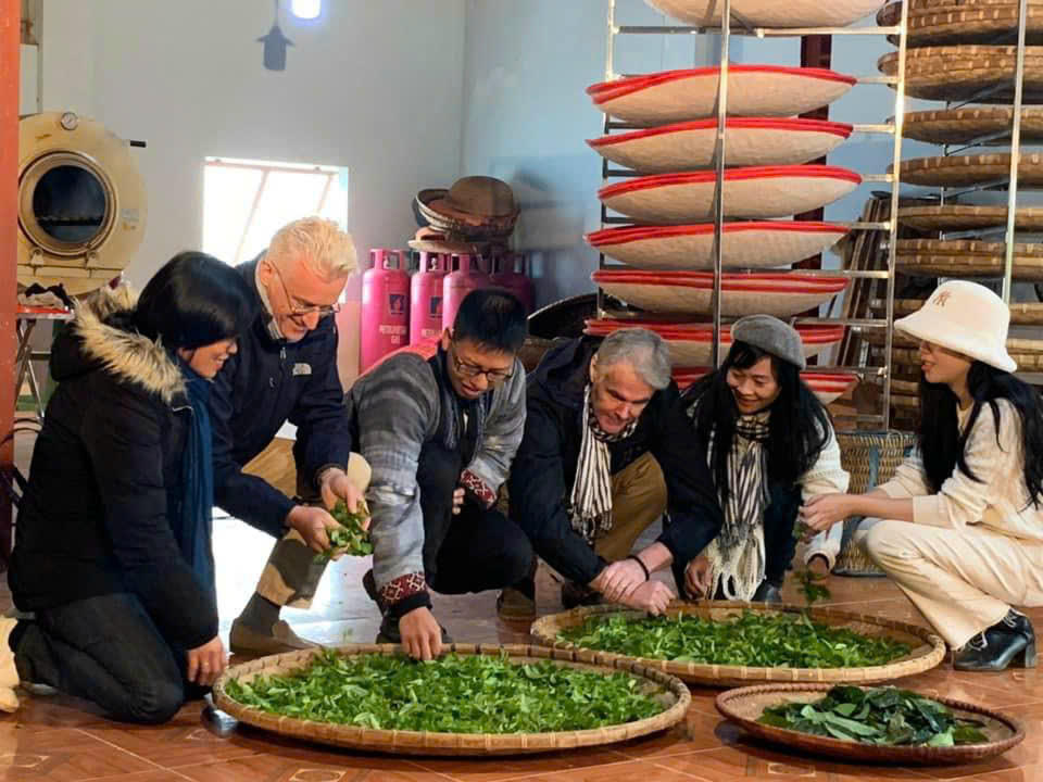 Trà Shan tuyết Suối Giàng đang dần định vị thương hiệu trà uy tín và văn hóa.