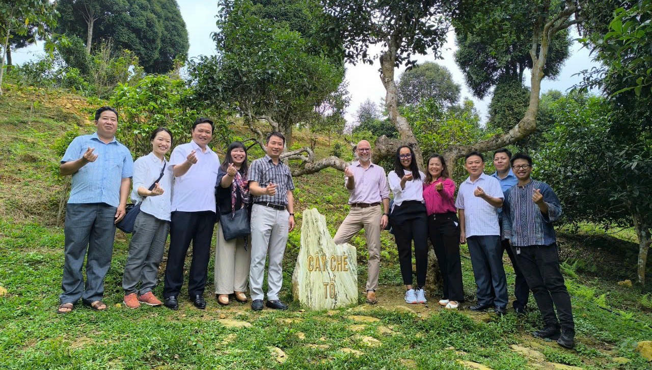 Suối Giàng trở thành điểm du lịch nghỉ dưỡng và trải nghiệm hấp dẫn nhờ khi hậu và giống trà cổ.