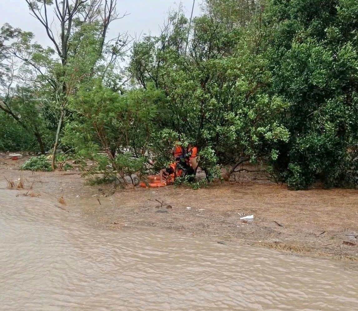 Người dân trèo lên cây đợi lực lượng cứu hộ cứu nạn.