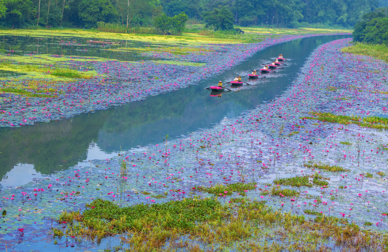 Ninh Bình tổ chức chương trình "Sắc Hồng Tam Cốc 2025 - bản tình ca mùa thu"