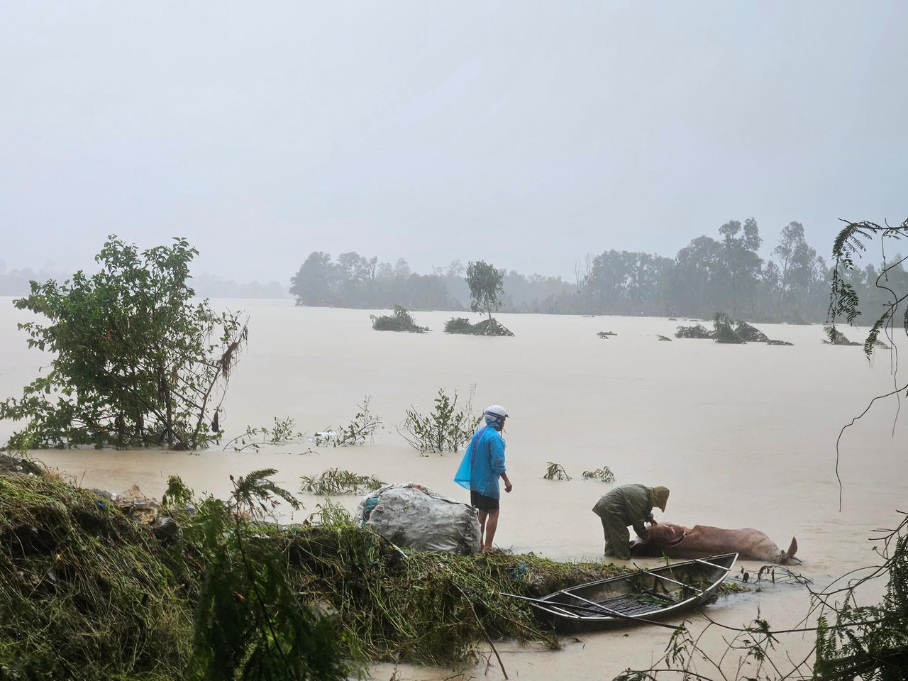 Đắk Lắk: 35 người chết và mất tích, thiệt hại sơ bộ hơn 5.300 tỷ đồng