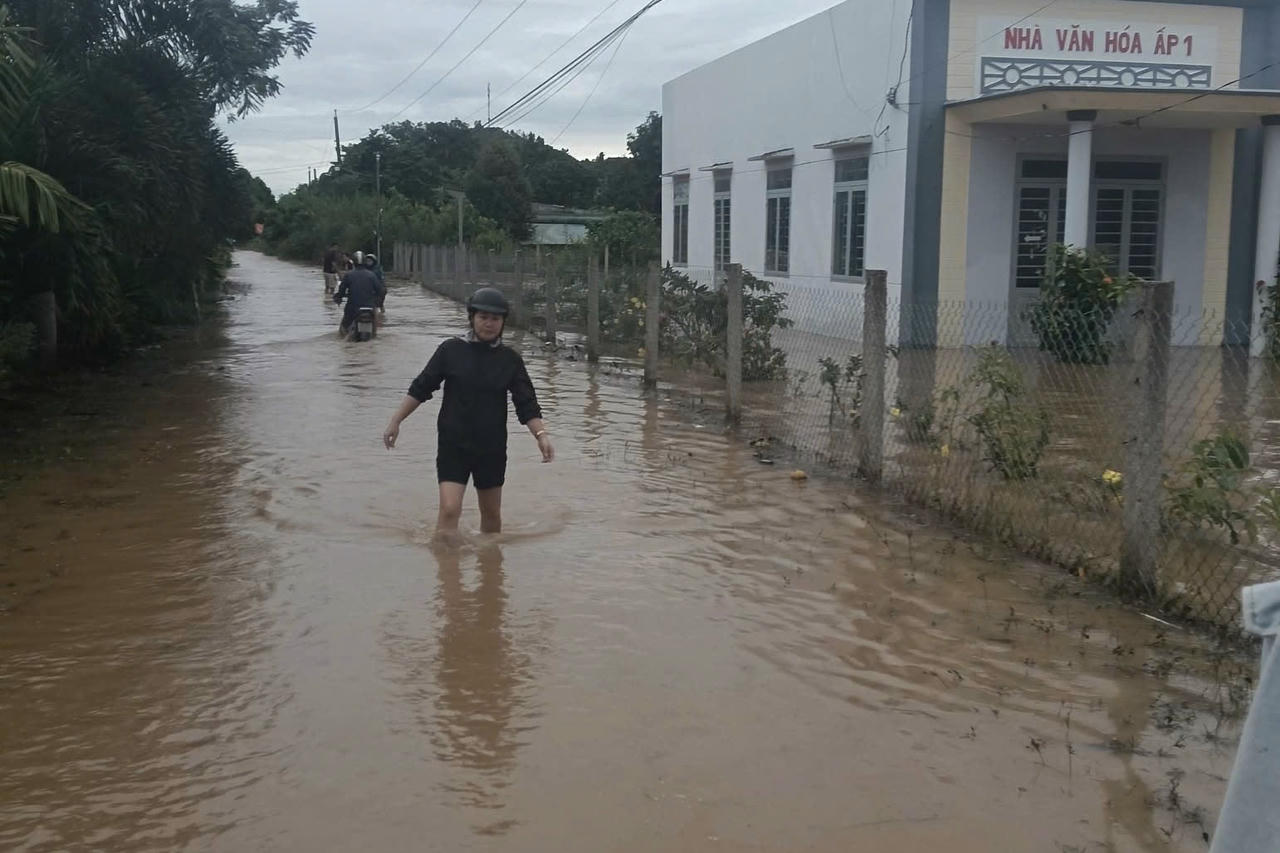 Đồng Nai yêu cầu 17 nhà máy thủy điện cung cấp thông tin kịp thời khi xả lũ, bảo vệ an toàn vùng hạ du