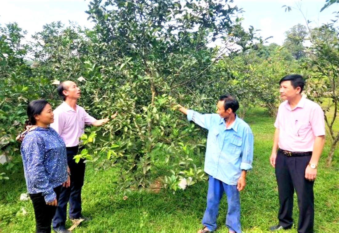 Cán bộ Ngân hàng Chính sách xã hội Hà Tĩnh kiểm tra hộ dân vay vốn phát triển sản xuất.