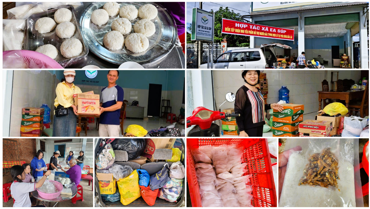 Điểm tập kết tại HTX Ea Súp ghi nhận người dân đến quyên góp, các xã viên tất bật nấu cơm nắm và đóng gói cá sông Ea Súp để chuyển hỗ trợ bà con vùng lũ. (Ảnh: Đại Đậu)