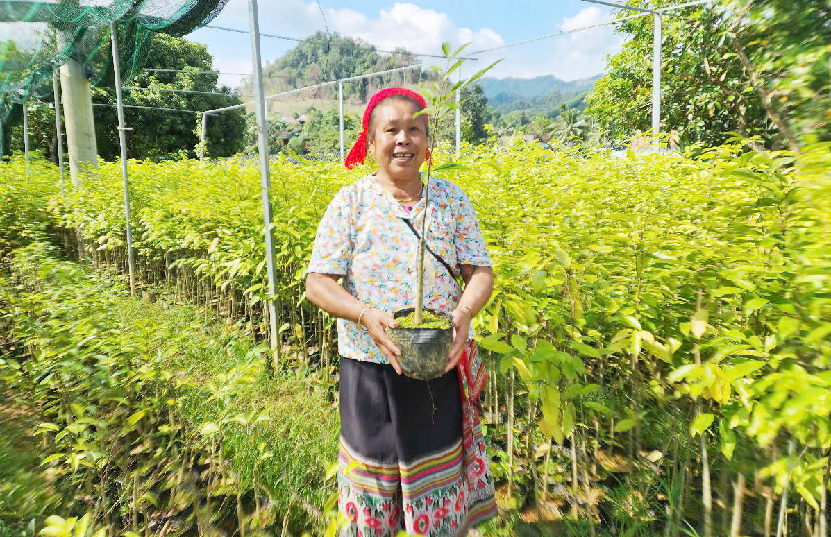 Một hộ dân được vay vốn chính sách để phát triển kinh tế tại xã Hùng Chân (huyện Quỳ Châu cũ)