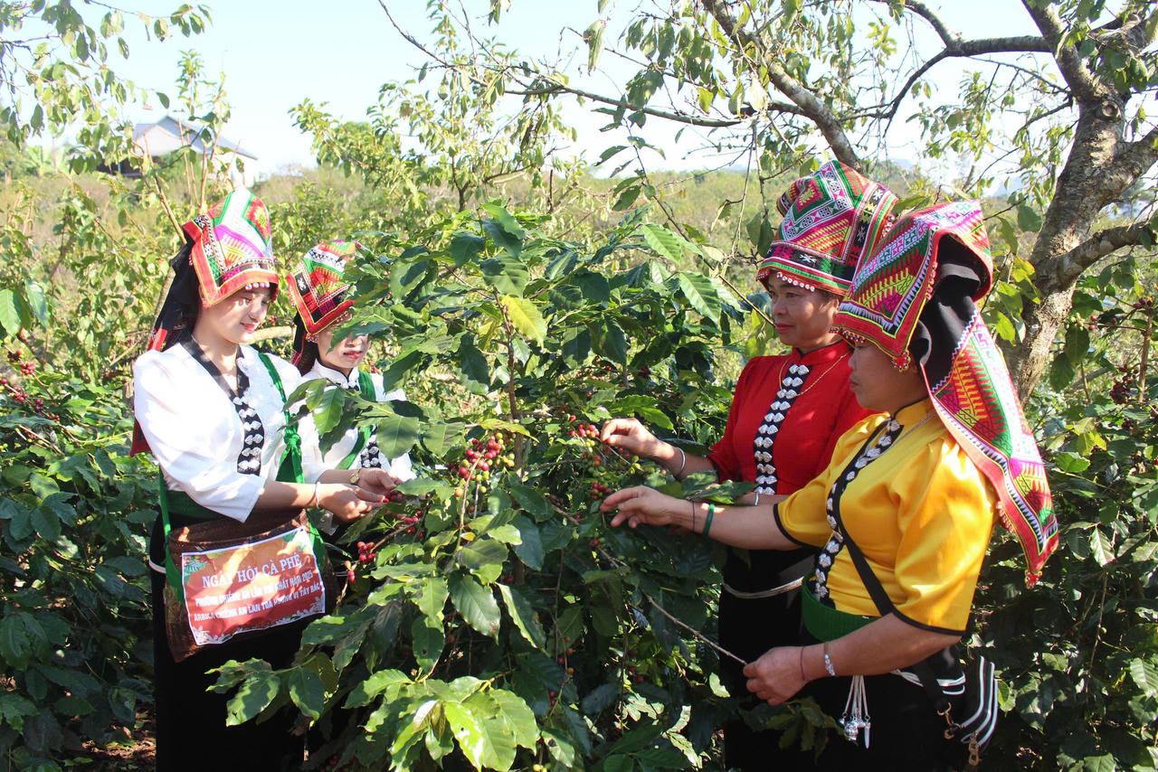Mùa no ấm trên rẻo cao Sơn La