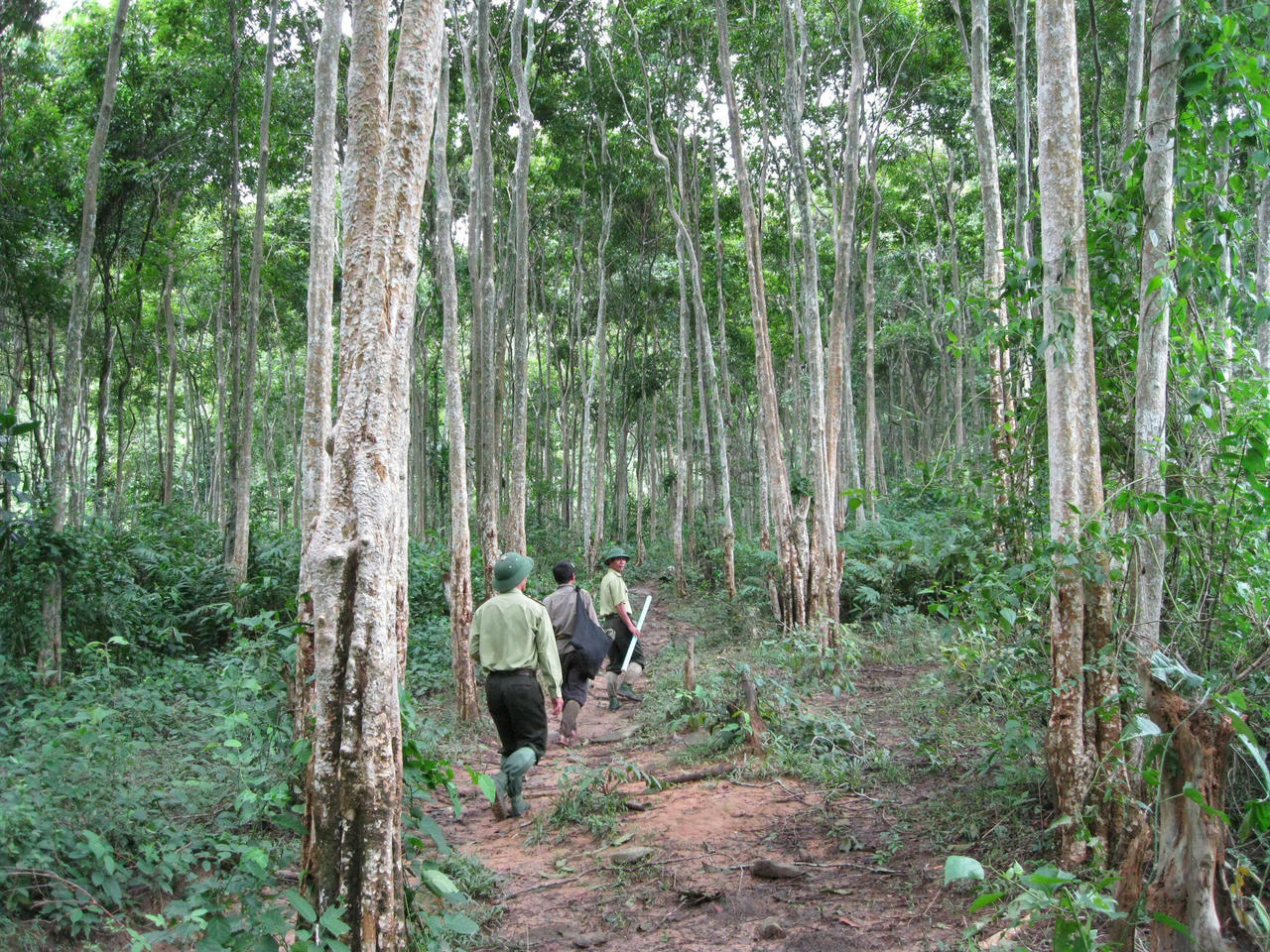 Lực lượng Kiểm lâm và Ban Quản lý Rừng phòng hộ, Khu bảo tồn thiên nhiên Pù Huống tuần tra kiểm soát